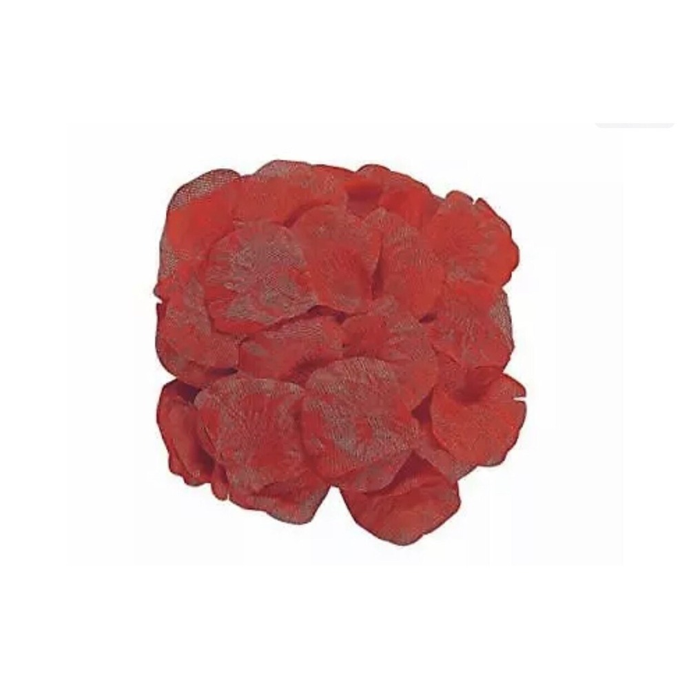 Fun Express Valentine Heart Shaped Red Rose Petals; 200 Pcs